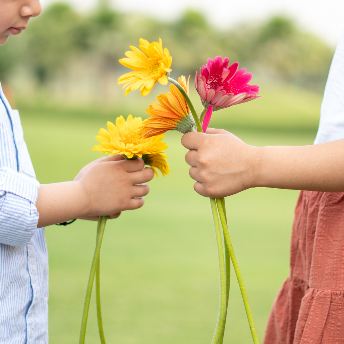 7 Ways to Deal with Your Kid's Allergies This Spring: A Parent's Guide